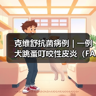 克维舒抗菌病例 | 一例犬跳蚤叮咬性皮炎(FAD)的病例分析(图3) 犬跳蚤叮咬皮炎诊断治疗全攻略(图3)