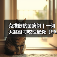 犬跳蚤叮咬皮炎诊断治疗全攻略
