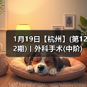 1月19日【杭州】(第122期)丨外科手术(中阶)实战班,2人/组提供一猫一狗,实操超多!(图3) 外科手术实战班:提升技术核心技巧(图3)
