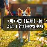 1月19日【杭州】(第122期)丨外科手术(中阶)实战班,2人/组提供一猫一狗,实操超多!(图4) 外科手术实战班:提升技术核心技巧(图4)