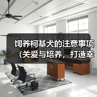 饲养柯基犬注意事项全攻略(图3)