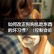 如何改正狗狗乱吃东西坏习惯全攻略(图3)