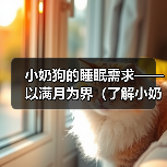 小奶狗满月后睡眠时长与注意事项全攻略(图2)