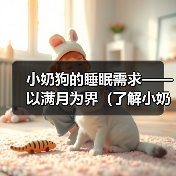 小奶狗满月后睡眠时长与注意事项全攻略(图4)