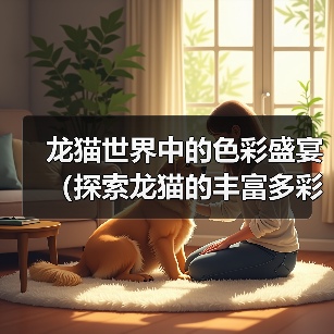 龙猫世界中的色彩盛宴全攻略(图2)