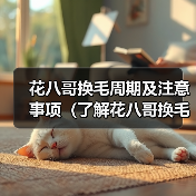 花八哥换毛周期及注意事项全攻略