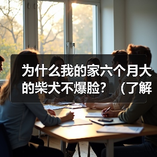 柴犬六个月不爆脸原因及爆脸方法全攻略(图2)