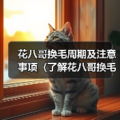 花八哥换毛周期及注意事项全攻略(图4)