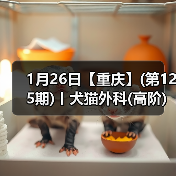犬猫外科高阶实操班核心技巧(图2)
