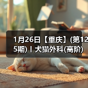 犬猫外科高阶实操班核心技巧(图4)