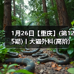 犬猫外科高阶实操班核心技巧