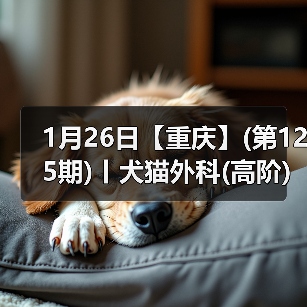 犬猫外科高阶实操班核心技巧(图3)