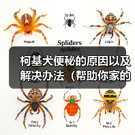 柯基犬便秘原因及解决办法全攻略