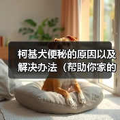 柯基犬便秘原因及解决办法全攻略(图3)