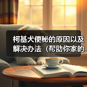 柯基犬便秘原因及解决办法全攻略(图4)