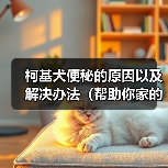 柯基犬便秘原因及解决办法全攻略(图2)