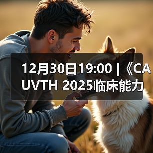 脓包异物超声诊断实用指南