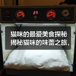 猫咪的最爱美食探秘(揭秘猫咪的味蕾之旅,这些食物能俘获它们的心()(图3) 猫咪最爱美食全攻略(图3)