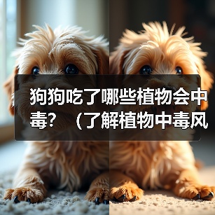 狗狗吃了哪些植物会中毒全攻略(图4)
