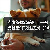 克维舒抗菌病例 | 一例犬跳蚤叮咬性皮炎(FAD)的病例分析(图4) 犬跳蚤叮咬皮炎诊疗全攻略(图4)