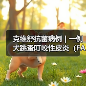 克维舒抗菌病例 | 一例犬跳蚤叮咬性皮炎(FAD)的病例分析(图2) 犬跳蚤叮咬皮炎诊疗全攻略(图2)