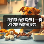 海泊舒治疗病例 | 一例犬咬伤的病例报告(图2) 犬咬伤保守治疗全攻略(图2)