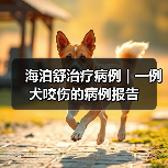 海泊舒治疗病例 | 一例犬咬伤的病例报告(图3) 犬咬伤保守治疗全攻略(图3)
