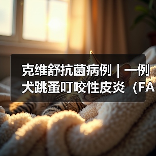 犬跳蚤叮咬皮炎诊疗全攻略