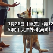 1月26日【重庆】(第125期)丨犬猫外科(高阶)班!含SUB(人人可实操)、乳糜胸等技术!(图3) 犬猫外科高阶实操班技术核心技巧(图3)