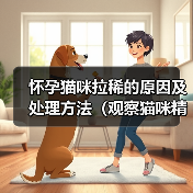怀孕猫咪拉稀原因及处理方法全攻略(图3)