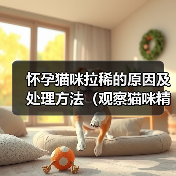 怀孕猫咪拉稀原因及处理方法全攻略(图2)