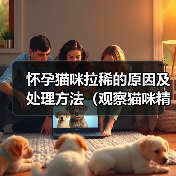 怀孕猫咪拉稀原因及处理方法全攻略
