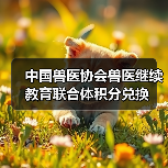 兽医积分兑换活动全攻略