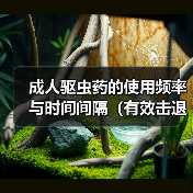 成人驱虫药使用频率与时间间隔全攻略(图4)