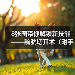 8张图带你解锁新技能——膀胱切开术(附手术视频)(图2) 膀胱切开术全攻略(图2)