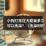 小狗打完狂犬疫苗多久可以洗澡全攻略(图2)