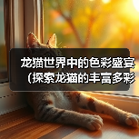 龙猫世界中的色彩盛宴全攻略