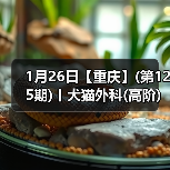犬猫外科高阶实操班技术核心技巧