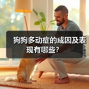 狗狗多动症成因表现全攻略