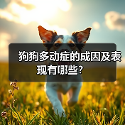 狗狗多动症的成因及表现有哪些?(图4) 狗狗多动症成因表现全攻略(图4)
