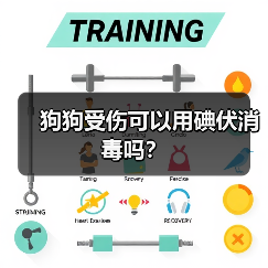 狗狗受伤碘伏消毒方法全攻略
