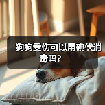 狗狗受伤可以用碘伏消毒吗?(图2) 狗狗受伤碘伏消毒方法全攻略(图2)