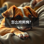 正确抱狗狗姿势全攻略