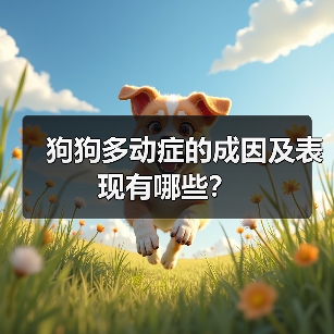 狗狗多动症的成因及表现有哪些?(图3) 狗狗多动症成因表现全攻略(图3)