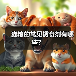 猫粮诱食剂种类及安全选择全攻略