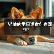 猫粮的常见诱食剂有哪些?(图3) 猫粮诱食剂种类及安全选择全攻略(图3)