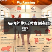 猫粮的常见诱食剂有哪些?(图2) 猫粮诱食剂种类及安全选择全攻略(图2)