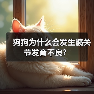 狗狗为什么会发生髋关节发育不良?(图2) 狗狗髋关节发育不良全攻略(图2)