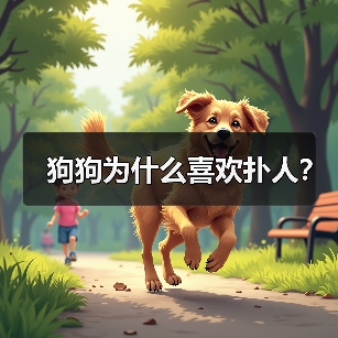 狗狗为什么喜欢扑人｜行为全攻略