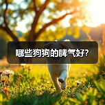 哪些狗狗的脾气好?(图4) 哪些狗狗脾气好|饲养实用指南(图4)
